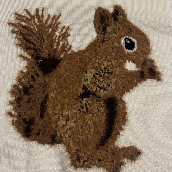 NWT Anthro Maeve Textured Squirrel Icon Sweater - Picture 6 of 16